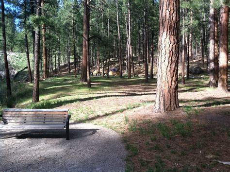 Maybe you would like to learn more about one of these? New Mexico Camping: San Antonio Group Campground