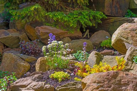 How To Build A Rock Garden On A Slope New Life Rockeries