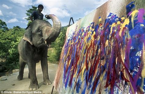 Elephants Paint Using Their Trunks Feet And Special Brushes Daily