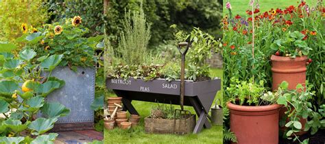 Vegetable Garden Container Ideas 20 Ways To Grow Crops In Pots