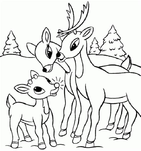 Scratchboard illustration made for lajeunegalerie.com 16 x 24 cm original scratchboard available here : Baby Deer Coloring Page - Coloring Home