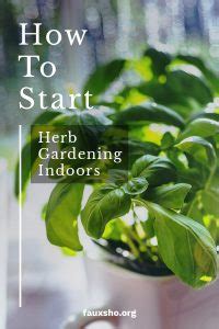 How to Start Herb Gardening Indoors | Faux Sho