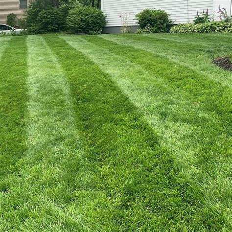 Chg Lawn Services Bloomfield Ct