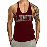 Buy The Blazze Men S Tank Tops Muscle Gym Bodybuilding Vest