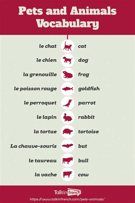 #frenchlessons | French language lessons, Basic french words, Learn ...