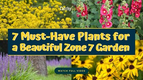 7 Must Have Plants For A Beautiful Zone 7 Garden 🌻🌸🌷 Gardening Youtube