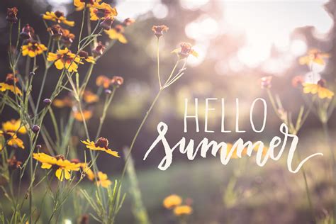 Hello Summer Floral Pictures Photos And Images For Facebook Tumblr Pinterest And Twitter