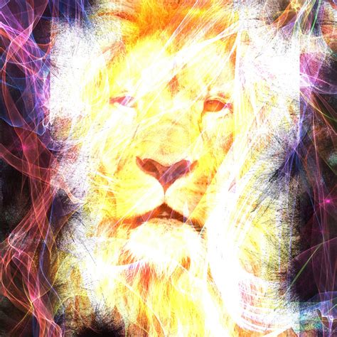 Abstract Lion Free Stock Photo Public Domain Pictures