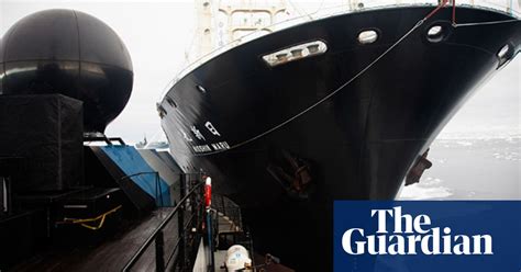 Japanese Whaling Vessel Rams Sea Shepherd Activists In Antarctic