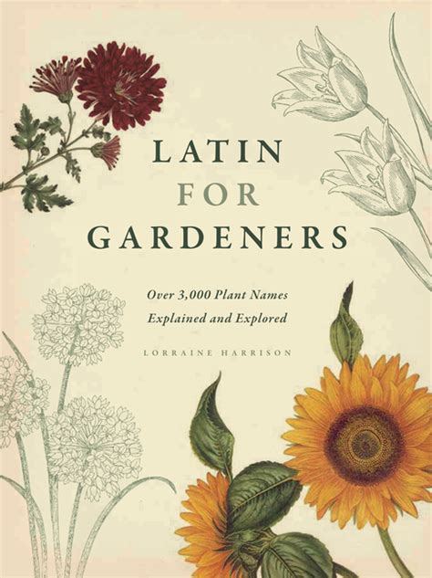 Latin For Gardeners Over 3000 Plant Names Explained And Explored