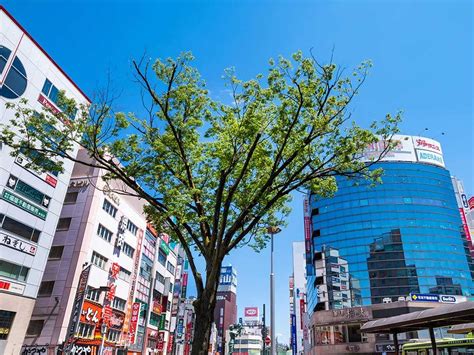 東京都北区の住みやすさは？治安や口コミ・子育て環境など住み心地を調査 クラモア