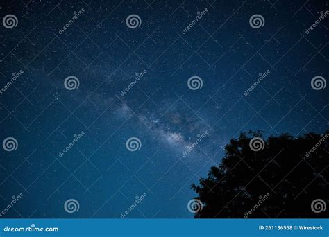 Mesmerizing Starry Night Sky Great For A Wallpaper Stock Photo