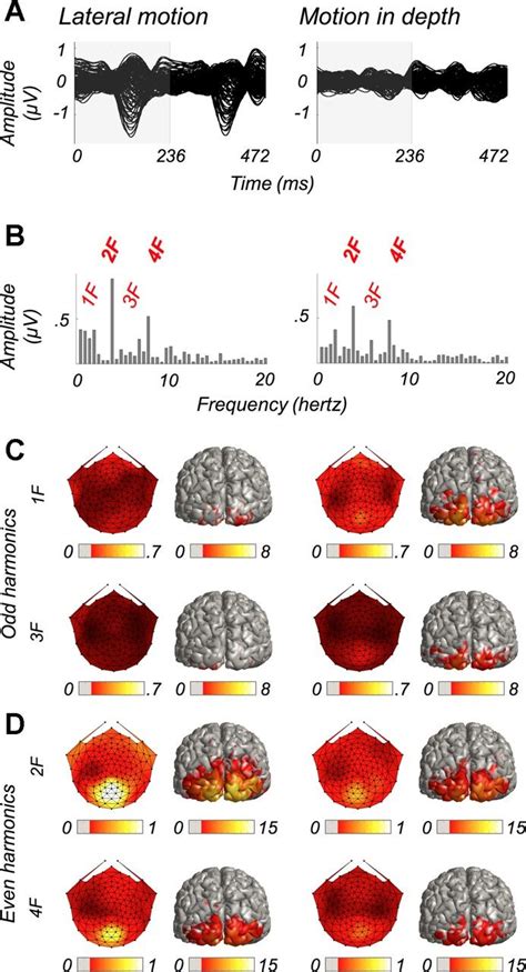 Dynamics And Cortical Distribution Of Neural Responses To 2d And 3d Motion In Human Journal Of
