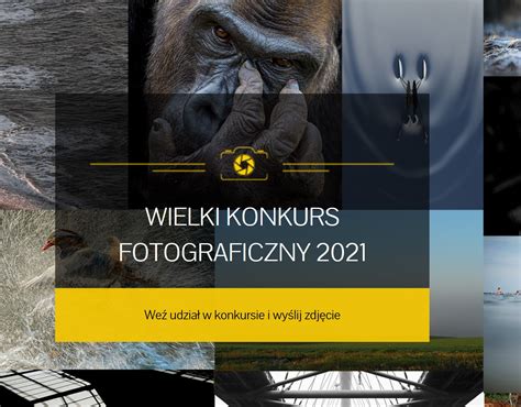 17 Konkurs Fotograficzny National Geographic Do 30 Września 2021