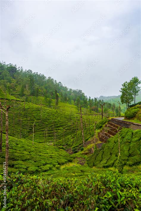 Valparai Is A Hill Station In The South Indian State Of Tamil Nadu