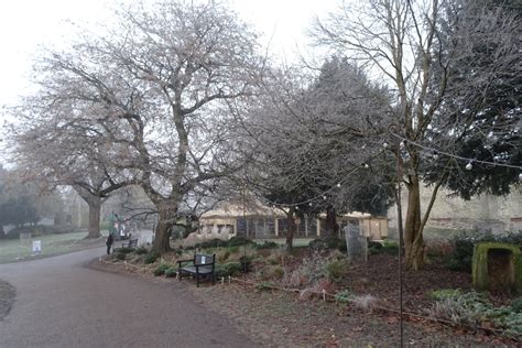 Hoar Frost In Museum Gardens DS Pugh Cc By Sa 2 0 Geograph Britain