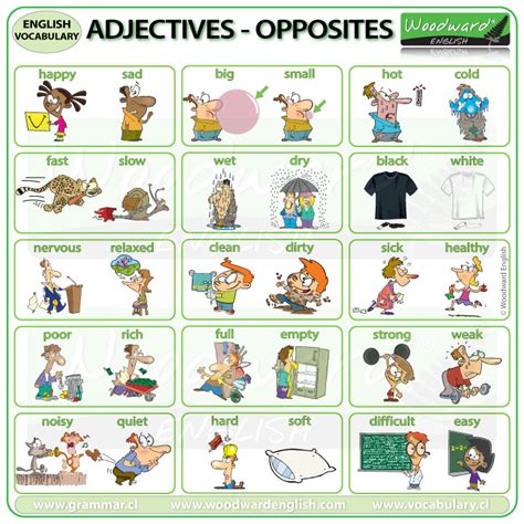They are in pairs that contain adjectives that are opposite to each other: Adjectives - Opposites | Woodward English