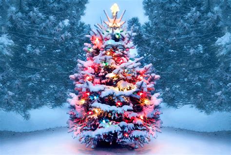 Traditional Christmas Trees Wallpapers Wallpaper Cave
