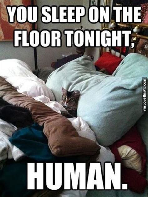 You Sleep On The Floor Tonight Human Pictures Photos