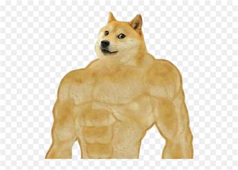 Aug 15, 2018 · templates must be a transparent png. #doge #dogge #strong #buff #meme #shitpost #nobackground ...