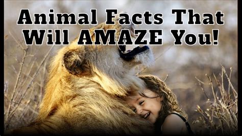 Animal Facts That Will Amaze You Youtube