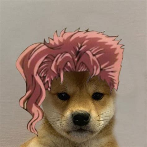 Anime Dog Pfp ~ Of Anime Dog Gradrisrad