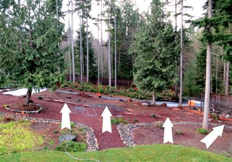 They can also, however, present a landscaping challenge. Mavis Garden Blog - Landscape Fabric and Gladiolus - One ...