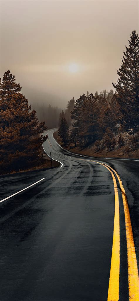 1242x2688 Road Between Woods Iphone Xs Max Hd 4k Wallpapers Images