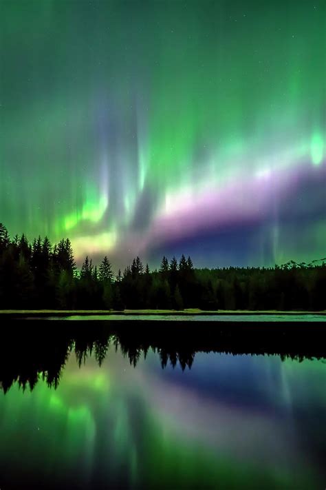 Green And Purple Northern Lights Photograph By John Hyde