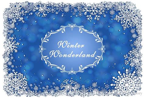 2019 Blue Winter Wonderland Backdrop Vinyl Printed White Snowflakes