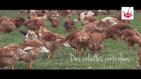 Vincendon Sebastien Eleveur De Poulet Fermier D Auvergne Youtube