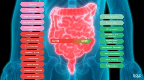 New Medical Frontier The Growing Importance Of Good Gut Health