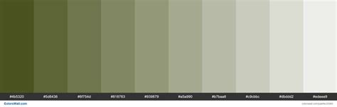 Tints Of Army Green Color 4b5320 Hex Sage Color Palette