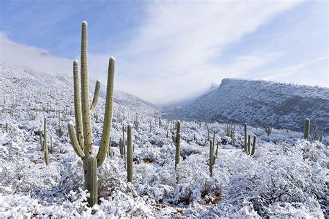 Snow In Sabino Canyon Tucson Arizona From The Rare Snows Flickr
