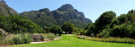 Spectacular Kirstenbosch And Companys Gardens 2024 Cullinan Guided