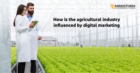 How Is The Agriculture Industry Influenced By Digital Marketing