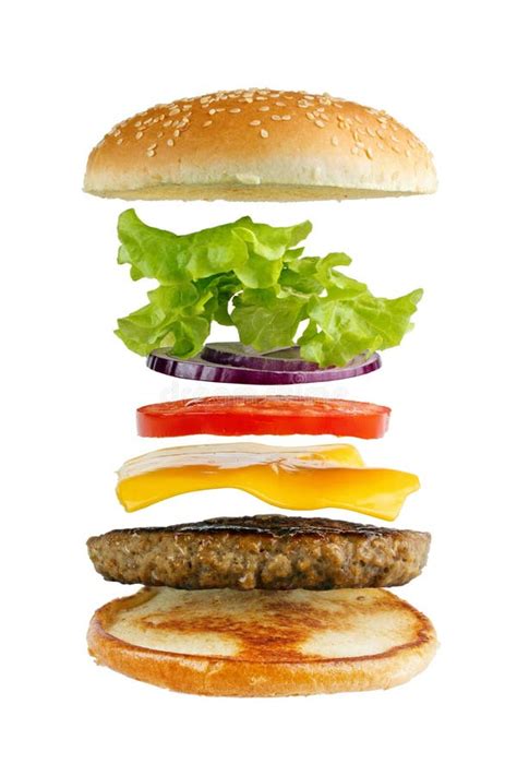 Hamburger Ingredients Stock Photo Image Of Onion Vertical 29069802