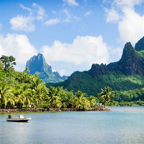 7 Amazing Things To Do In Tahiti Travelawaits