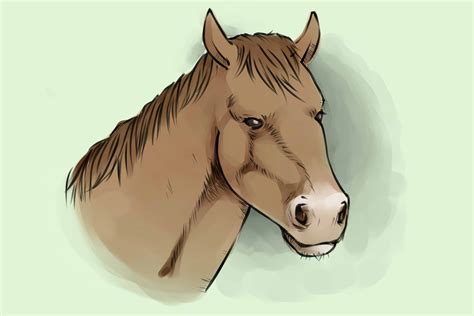 4 Ways To Draw A Horse Wikihow