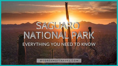 Saguaro National Park Everything You Need To Know In 2023 ⋆ We Dream