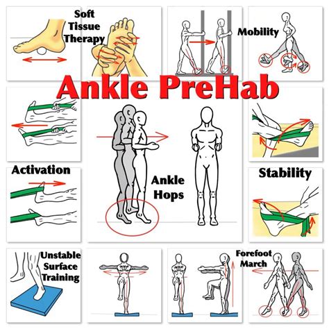 Ankle Rehab Exercises Ankle Exercises