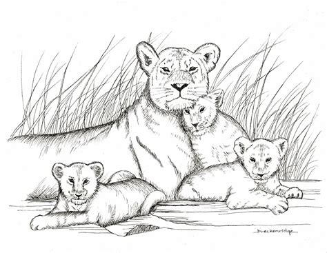 Mother And Baby Lions Drawing Print Etsy