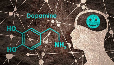 8 La Dopamine Récompense Du Confinement Cerveau And Psycho