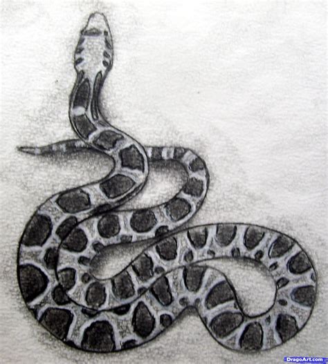Realistic Snake Black And White Drawing Snake Drawing