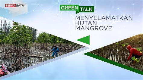 Green Talk Menyelamatkan Hutan Mangrove Youtube