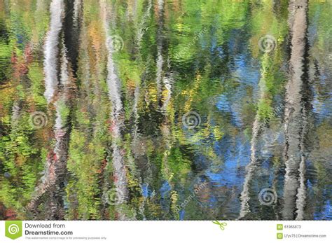 Abstraction Autumn Tree Foliage Reflection In Water Stock Image