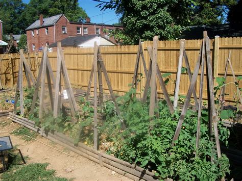 Vegetable Garden Against Fence Hawk Haven