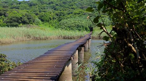 Umhlanga Lagoon Nature Trail In Umhlanga Touren Und Aktivitäten