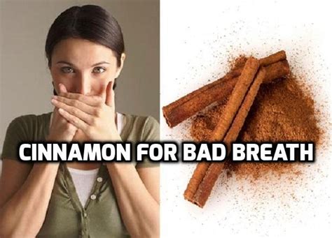 cinnamon for bad breath herbs for bad breath health melody