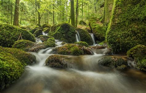 Wallpaper Forest Stones Moss Germany River Cascade Germany